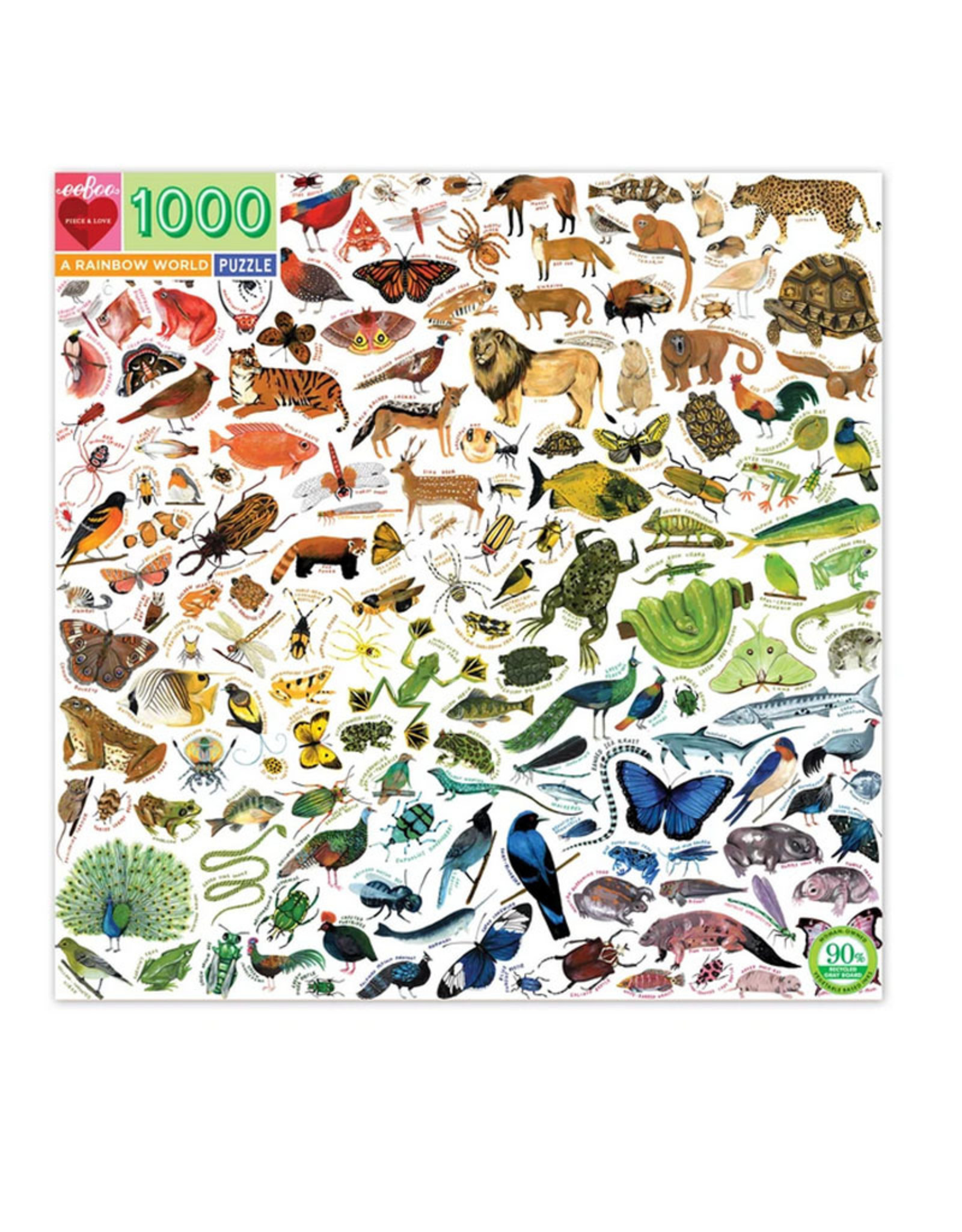 eeBoo Puzzle 1000 Piece: A Rainbow World