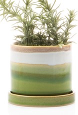 Chive Minute Pot and Saucer (sm)