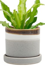 Chive Planter Big Minute and saucer (lg)