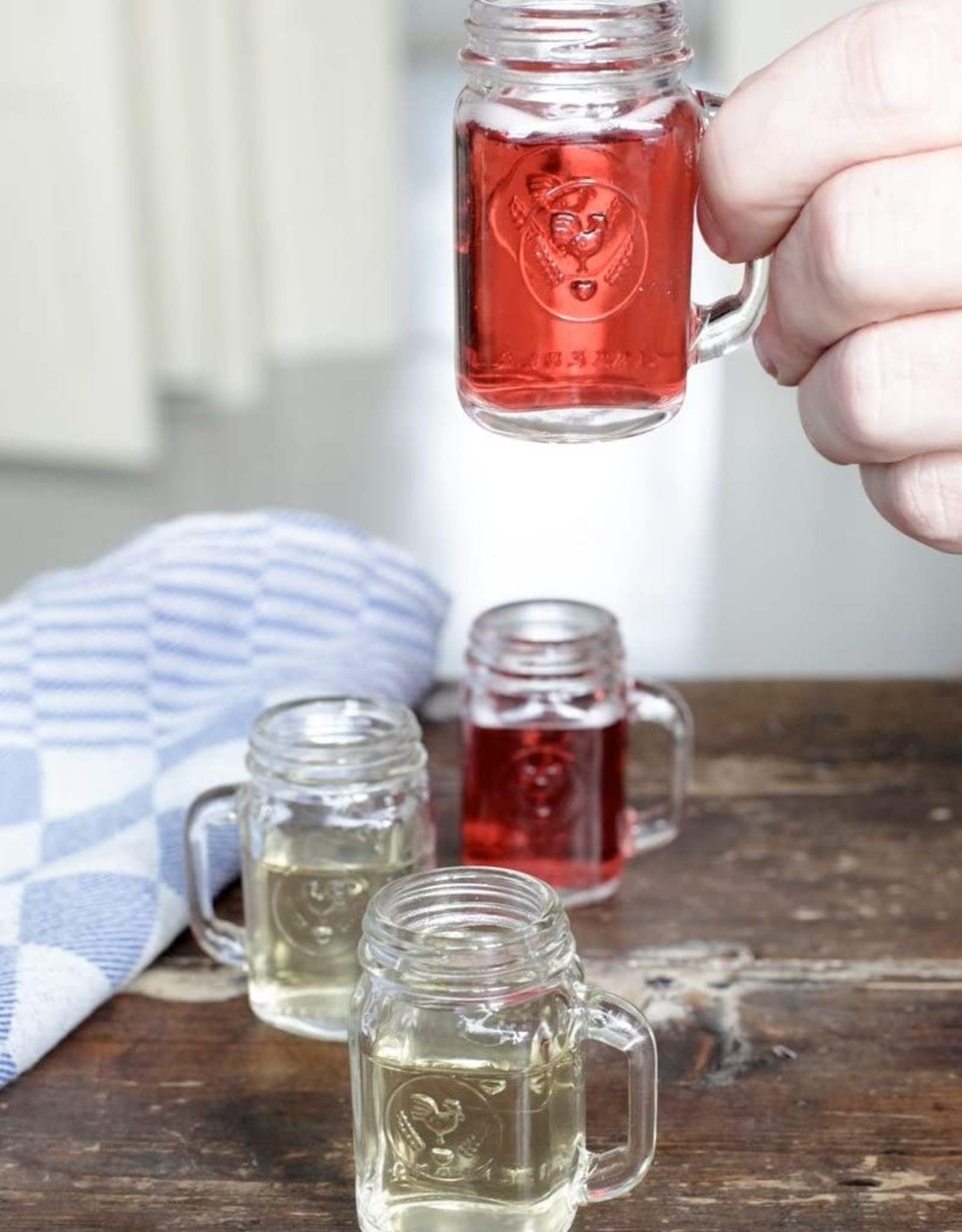 Kikkerland Mason Jar Shot Glasses