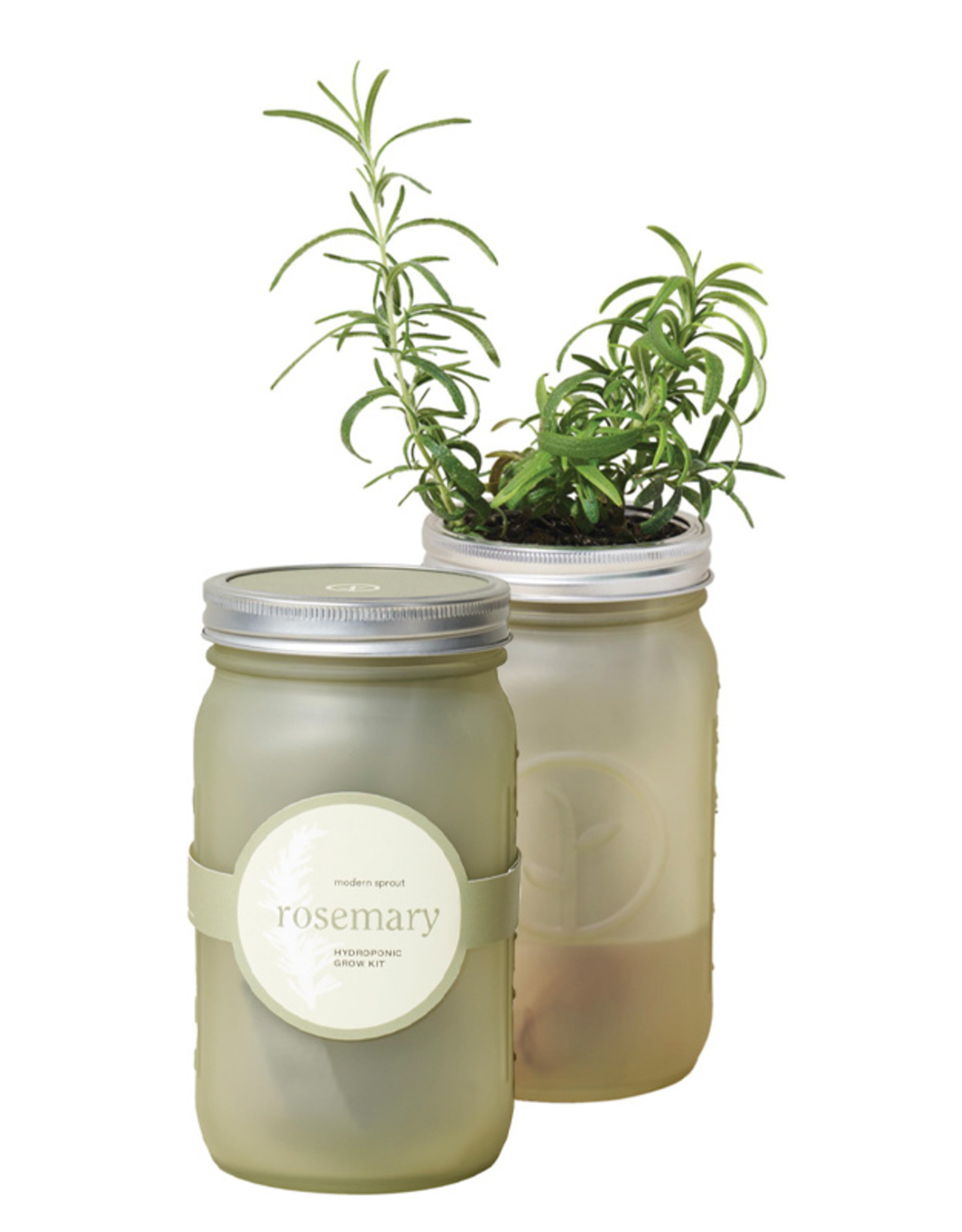 Modern Sprout Garden Jars