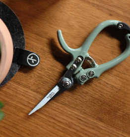 Modern Sprout Tool - Pruning Shears