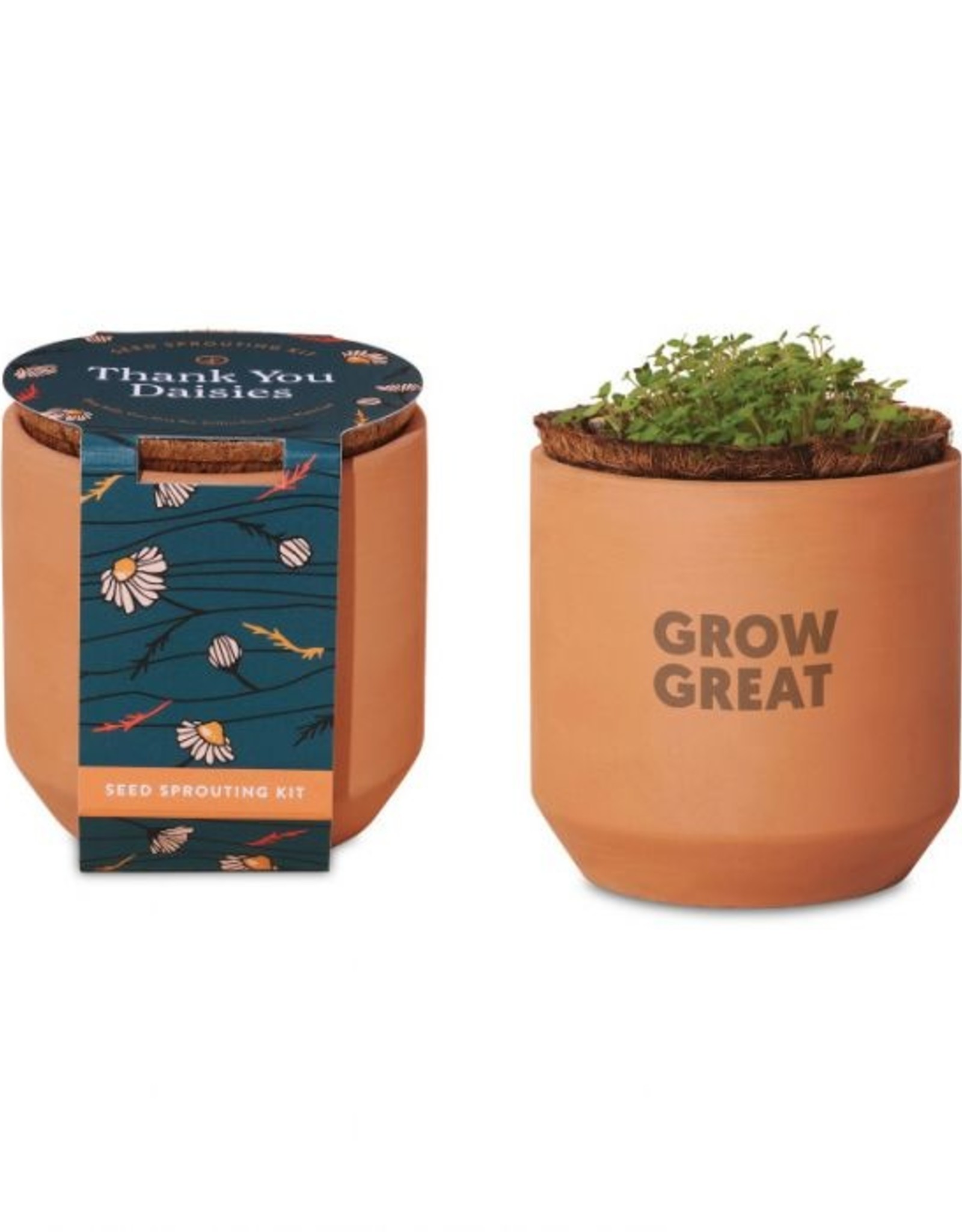 Modern Sprout Tiny Terracotta Kit