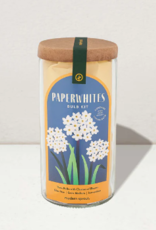 Modern Sprout Winter Bulb Kit - Paperwhites