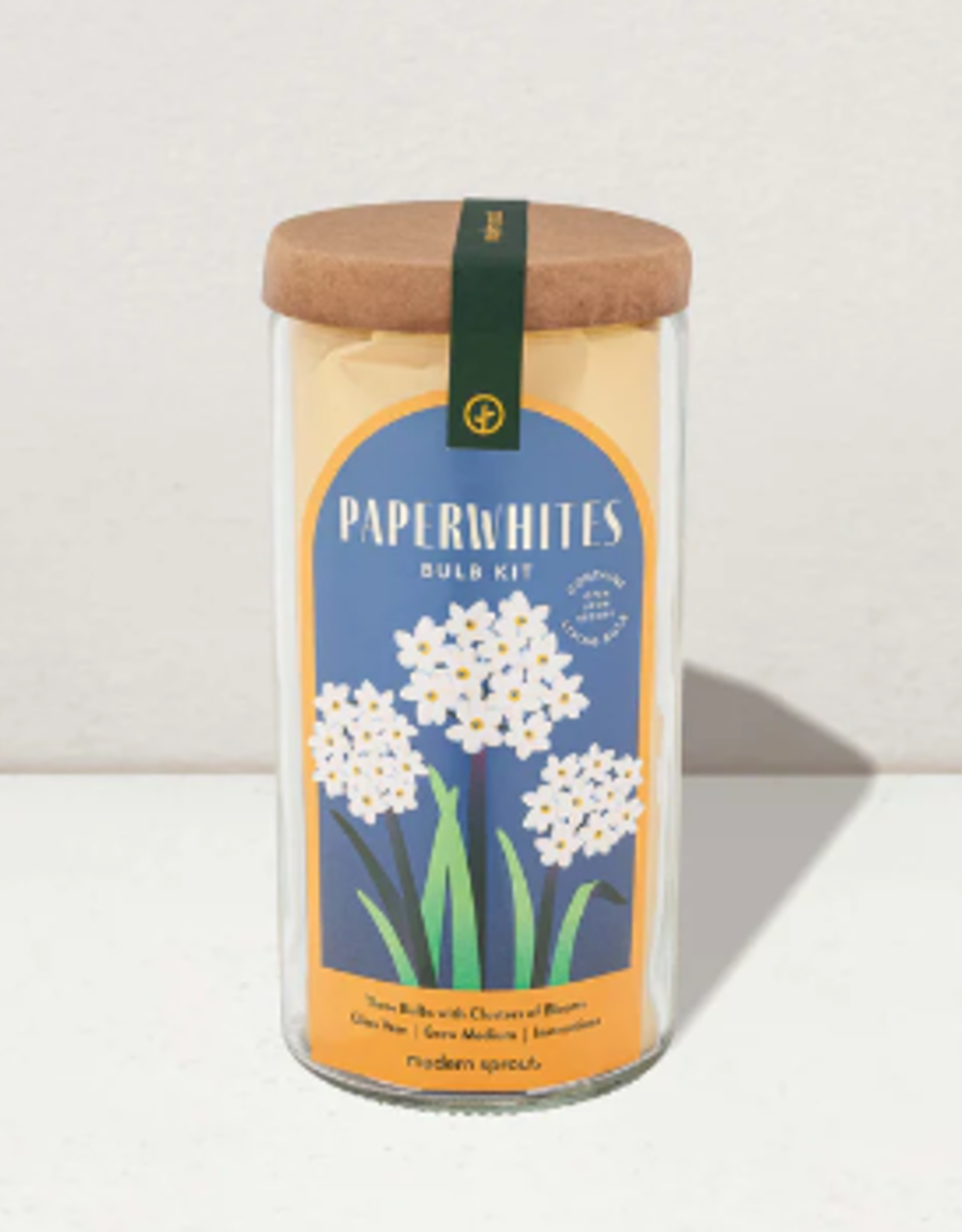 Modern Sprout Winter Bulb Kit - Paperwhites