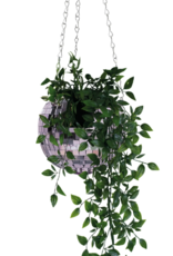 NPW Planter: Disco Hanging