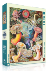 New York Puzzle Company Puzzle - NYPC: Sea Anemones (1000 pc)