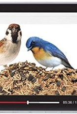 Fred and Friends Fred Howligans - Bird Feeder - Live Feed L