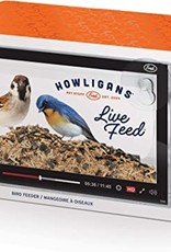 Fred and Friends Fred Howligans - Bird Feeder - Live Feed L