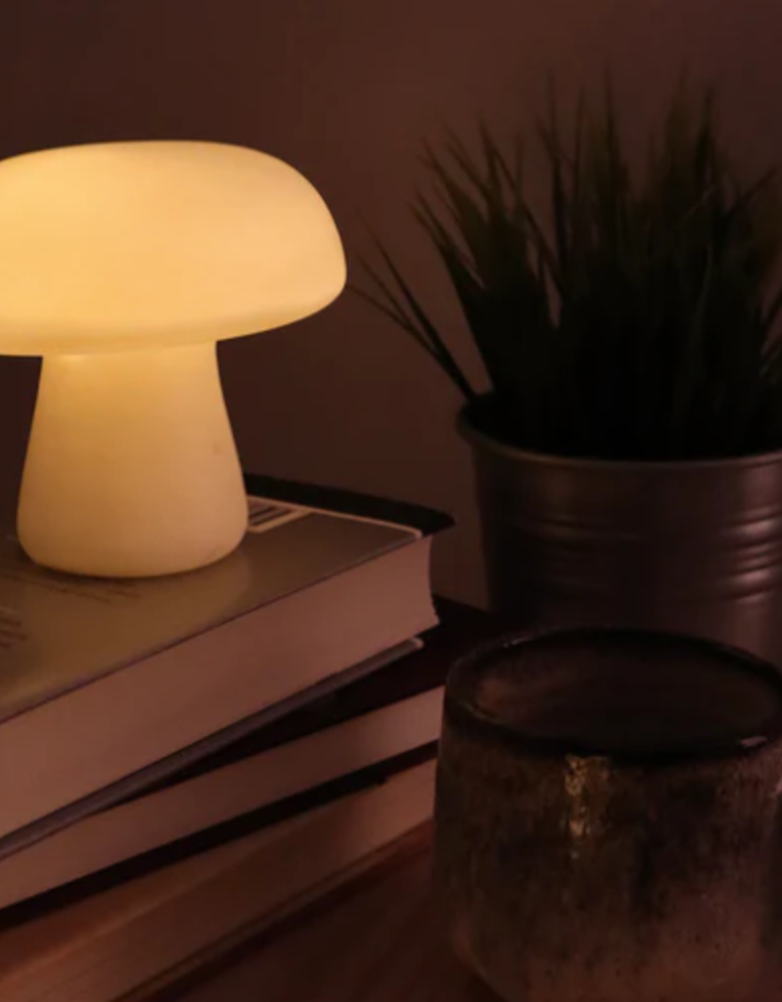 Kikkerland Mushroom Light: