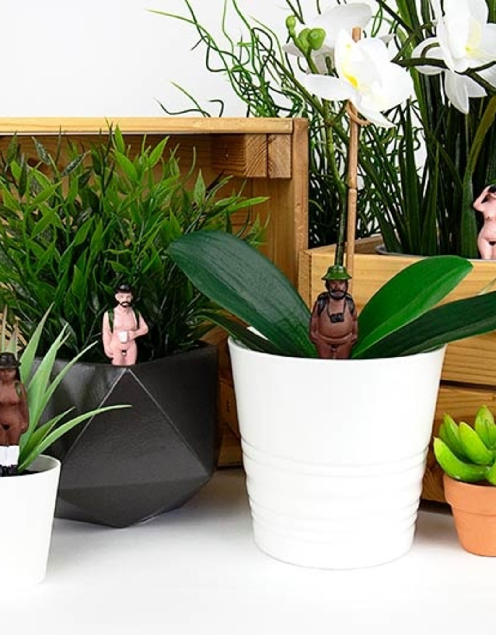 Gift Republic Planter Accessories Naked Ramblers
