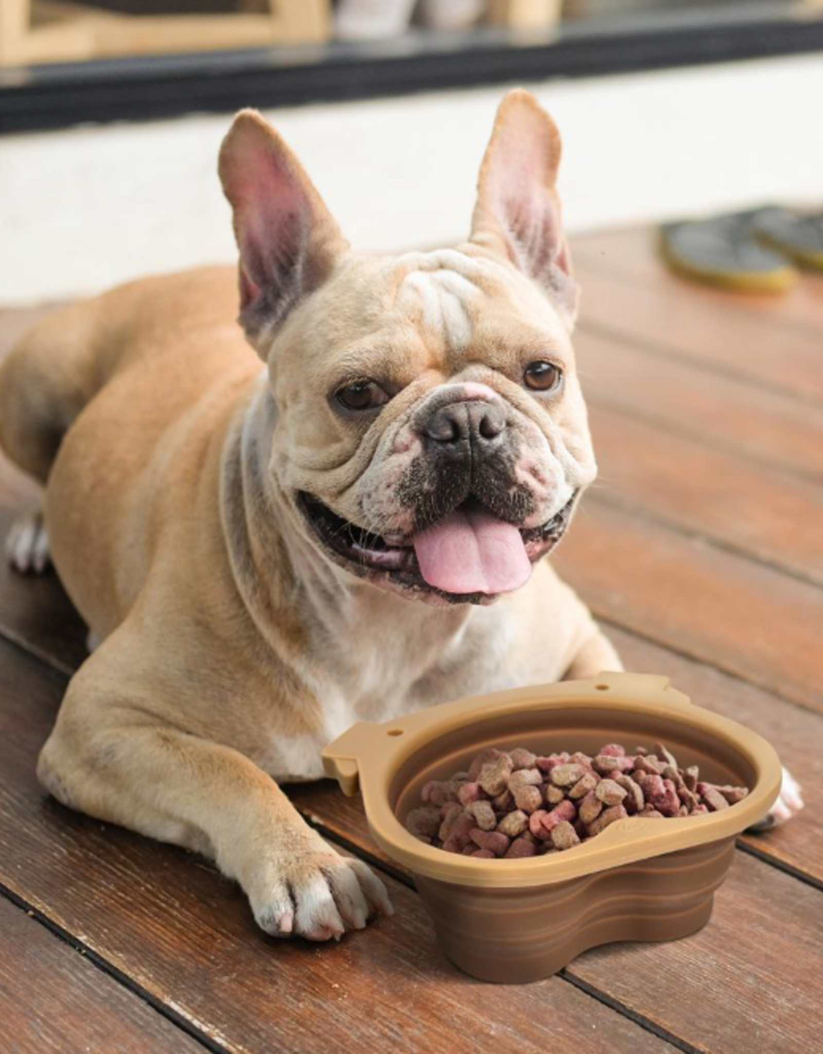 Fred and Friends Howligans - Collapsible Dog Bowl