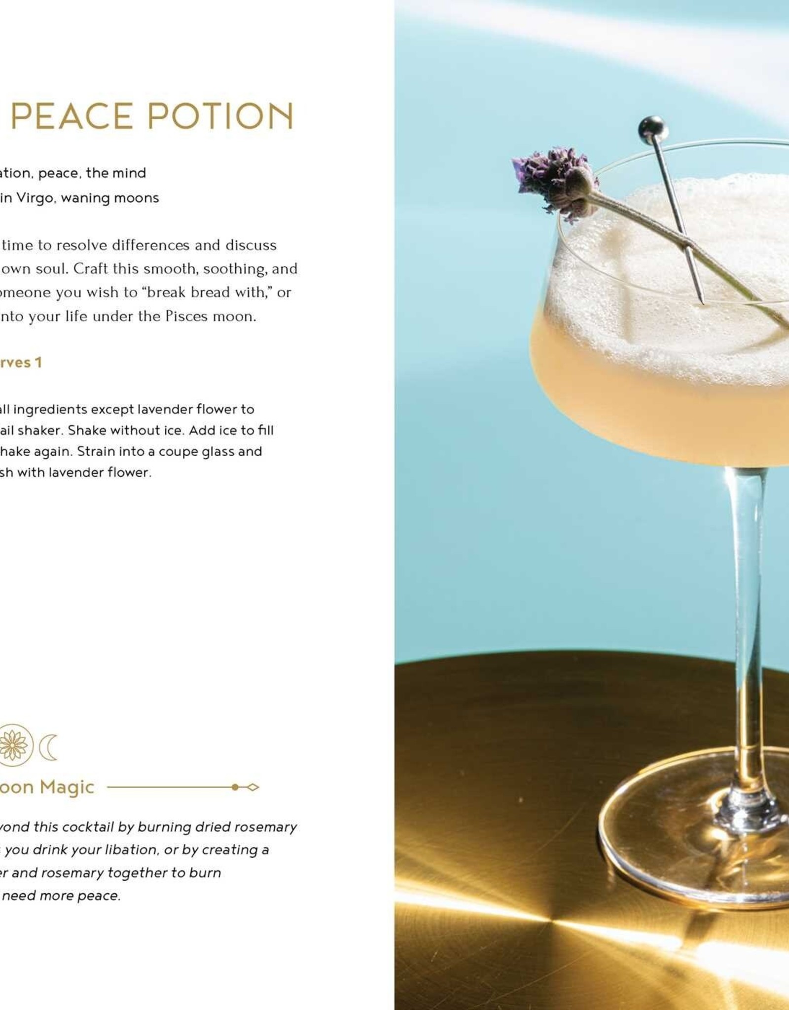 Simon & Schuster Moon, Magic, Mixology