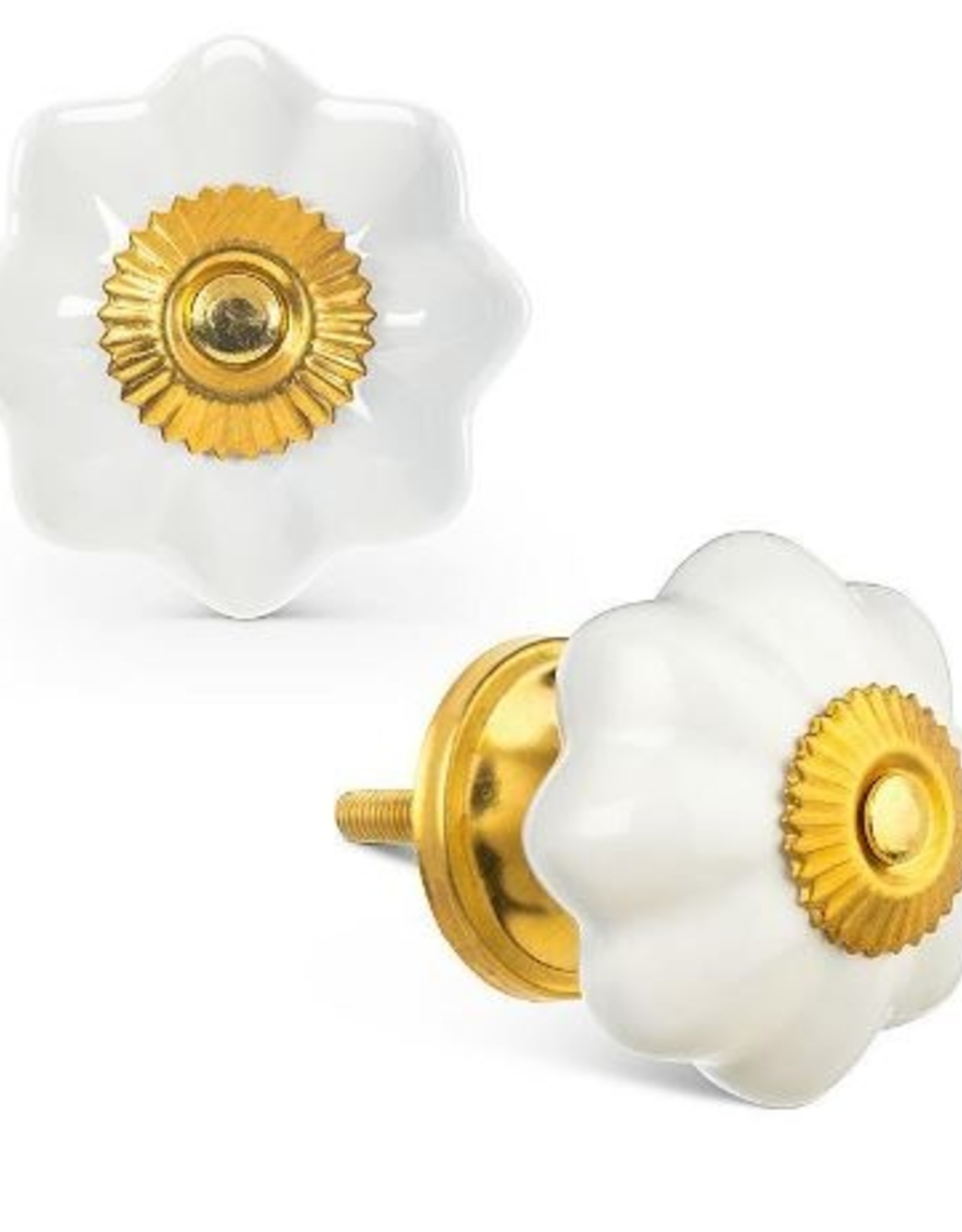 Abbott Knob - White Pumpkin w/ Gold