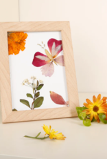 Kikkerland Pressed Flower Frame - Huckleberry