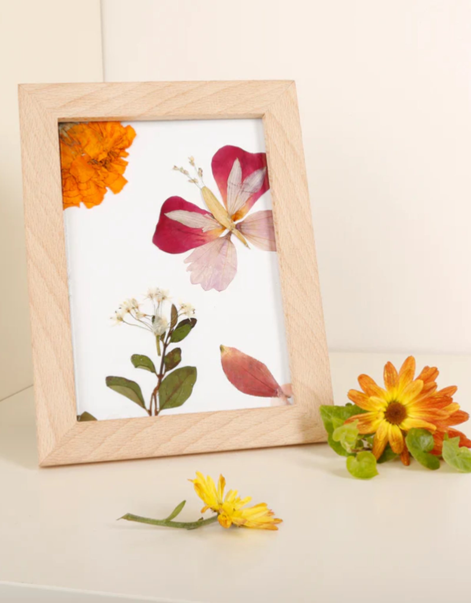 Kikkerland Pressed Flower Frame - Huckleberry