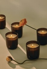 Paddywax Candle - Firefly Signature: