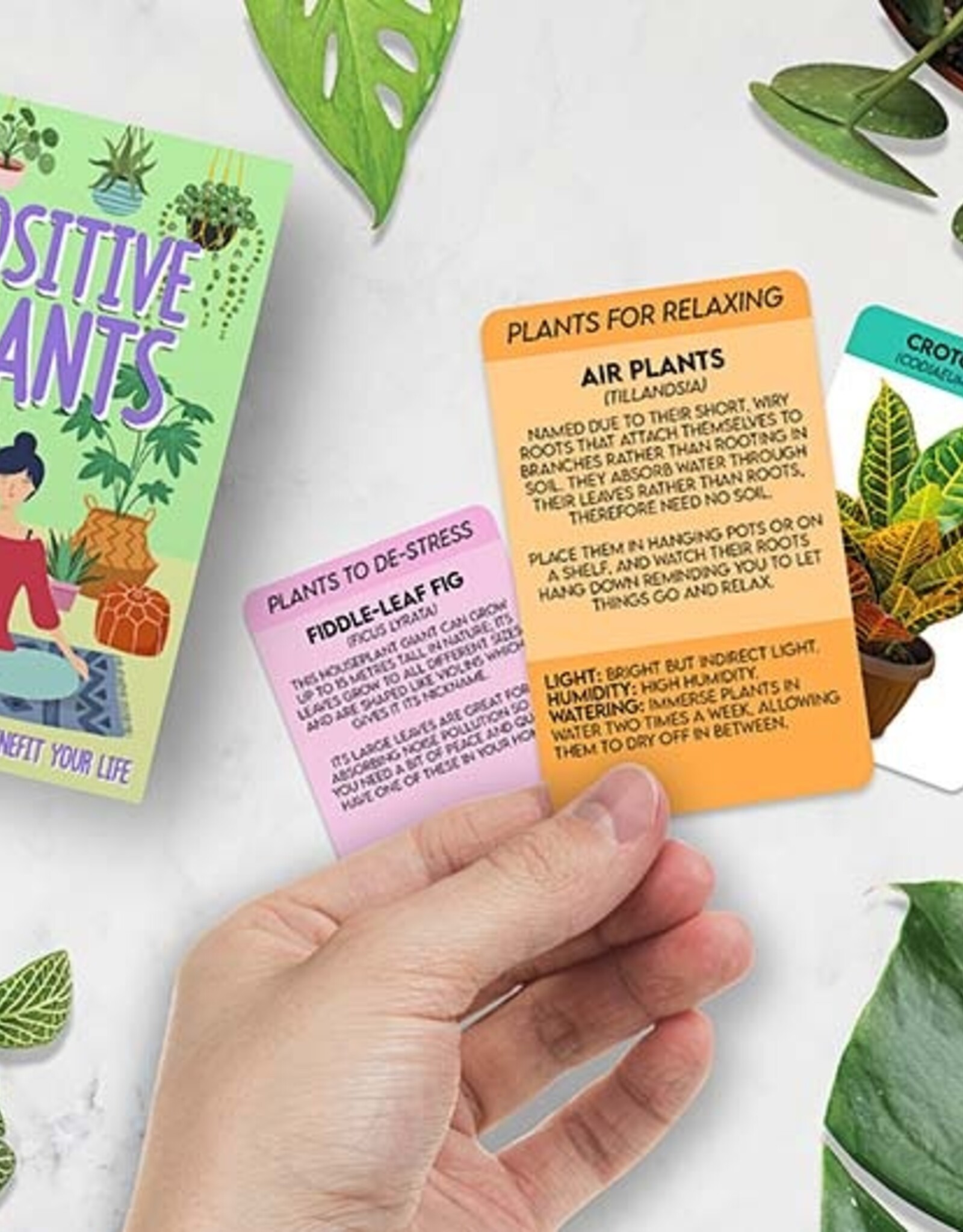 Gift Republic Card Pack - Positive Plants