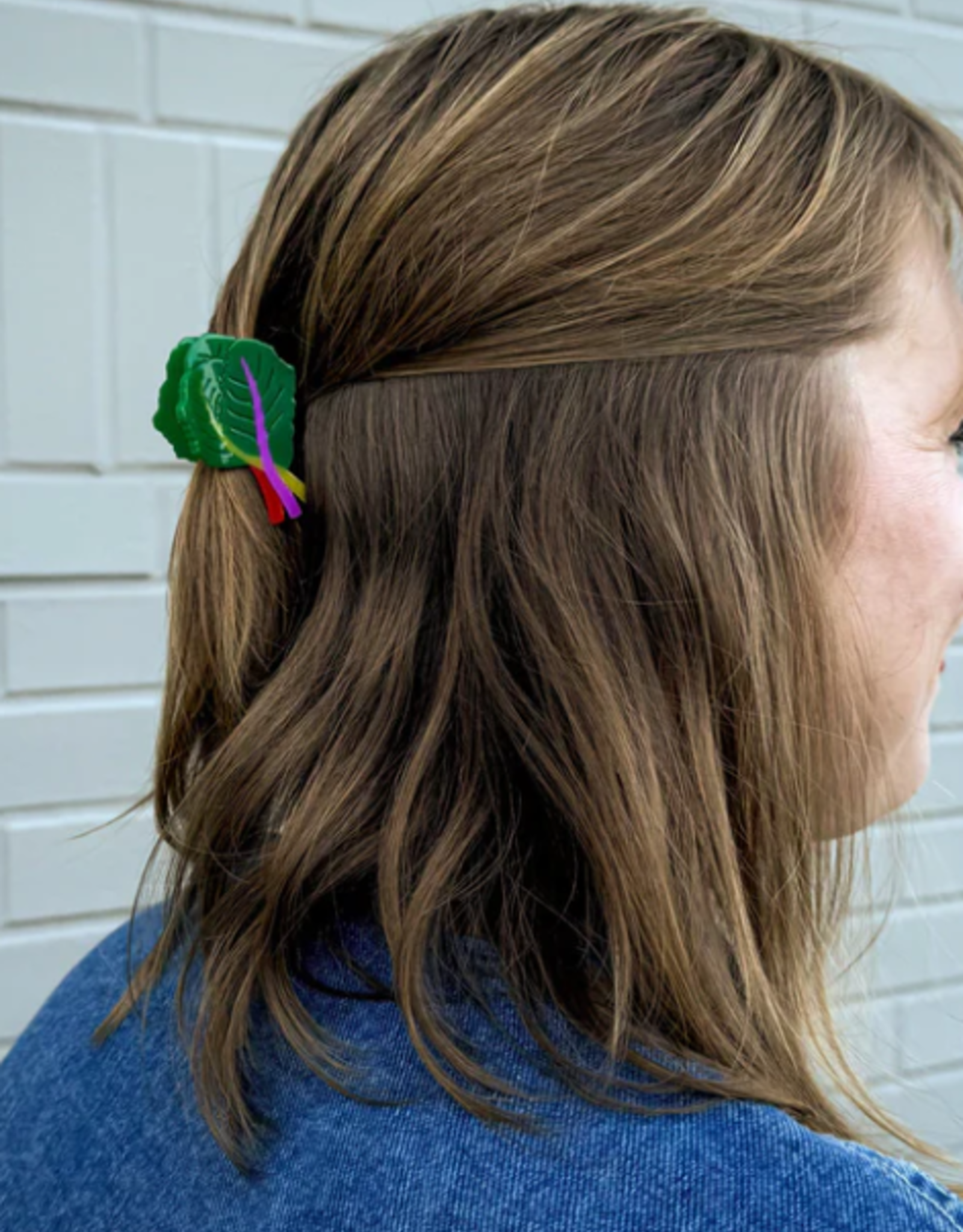 Jenny Lemons Hair Claw - Mini Rainbow Chard