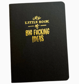 Ladyfingers Letterpress Notebook - My Little Book of Big Ideas