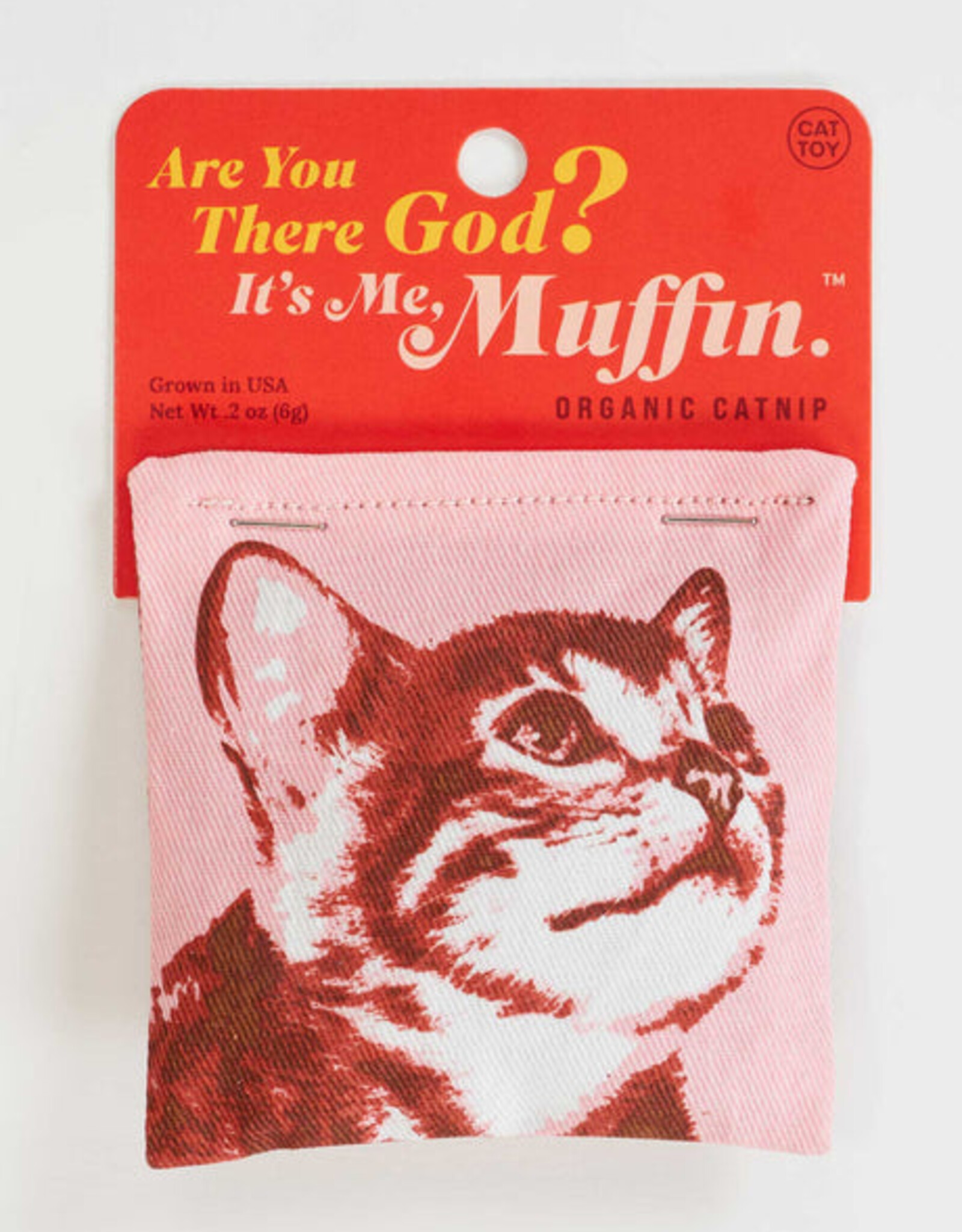 Blue Q Catnip Toy - Are You There God