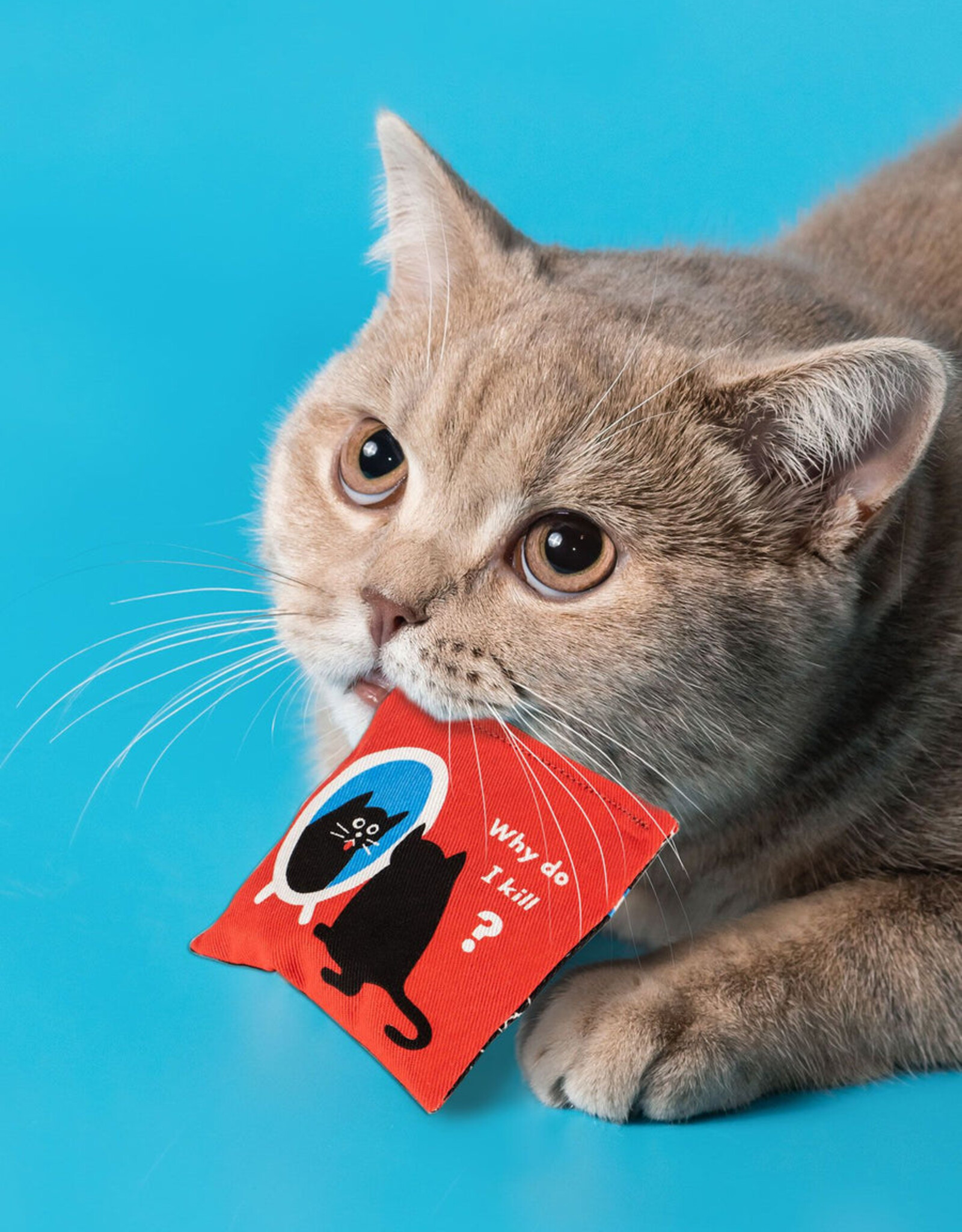 Blue Q Catnip Toy - Existential Kitty