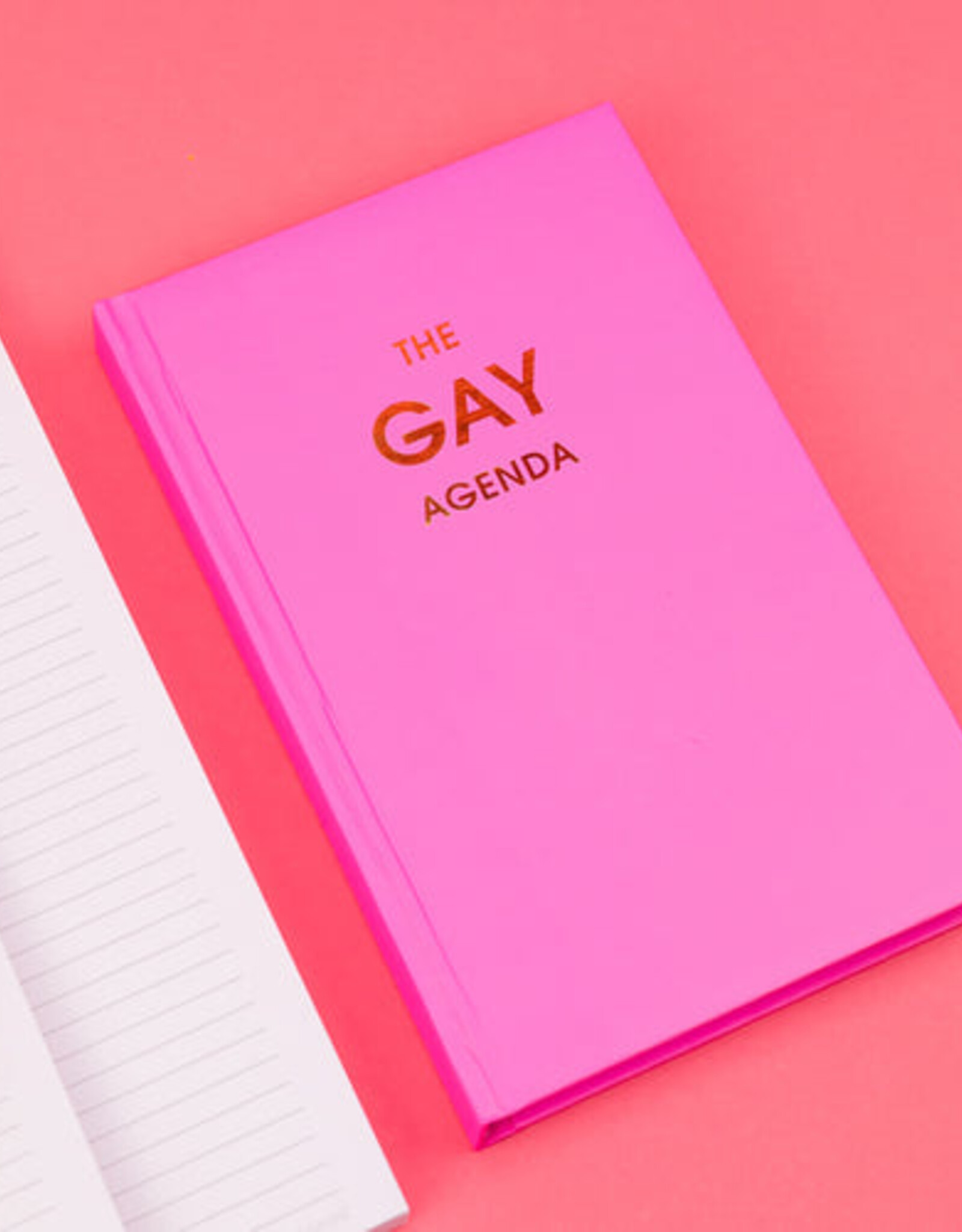 Chez Gagné Journal - The Gay Agenda