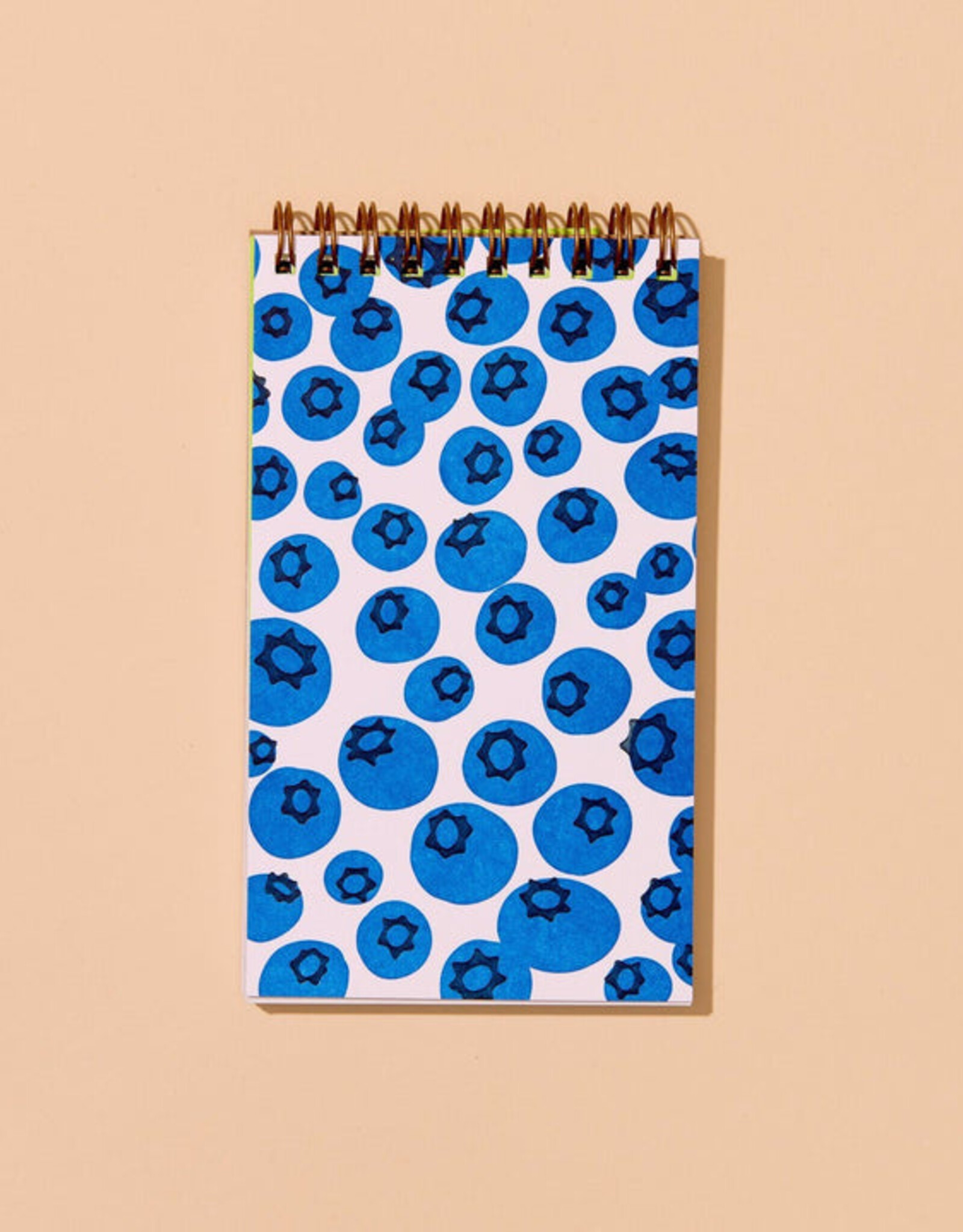 And Here We Are Notebook - Pocket sized: Blueberries