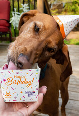 InstaCake Pet Cake Celebration Kit