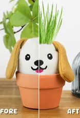 Gift Republic Dog Grow Pal