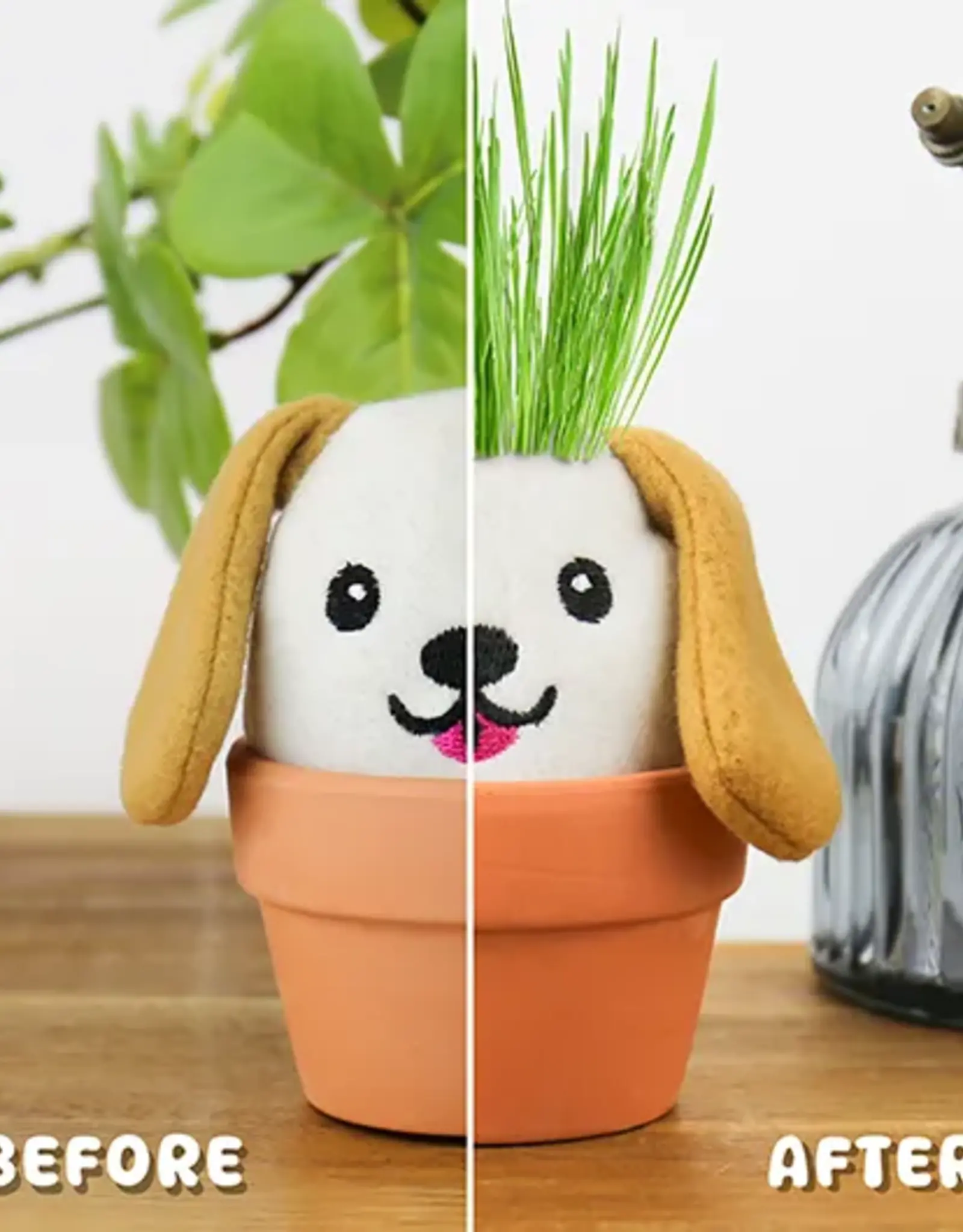 Gift Republic Dog Grow Pal