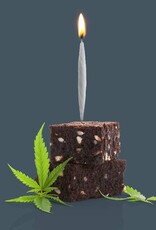Fred and Friends Birthday Candles - Lit Joint