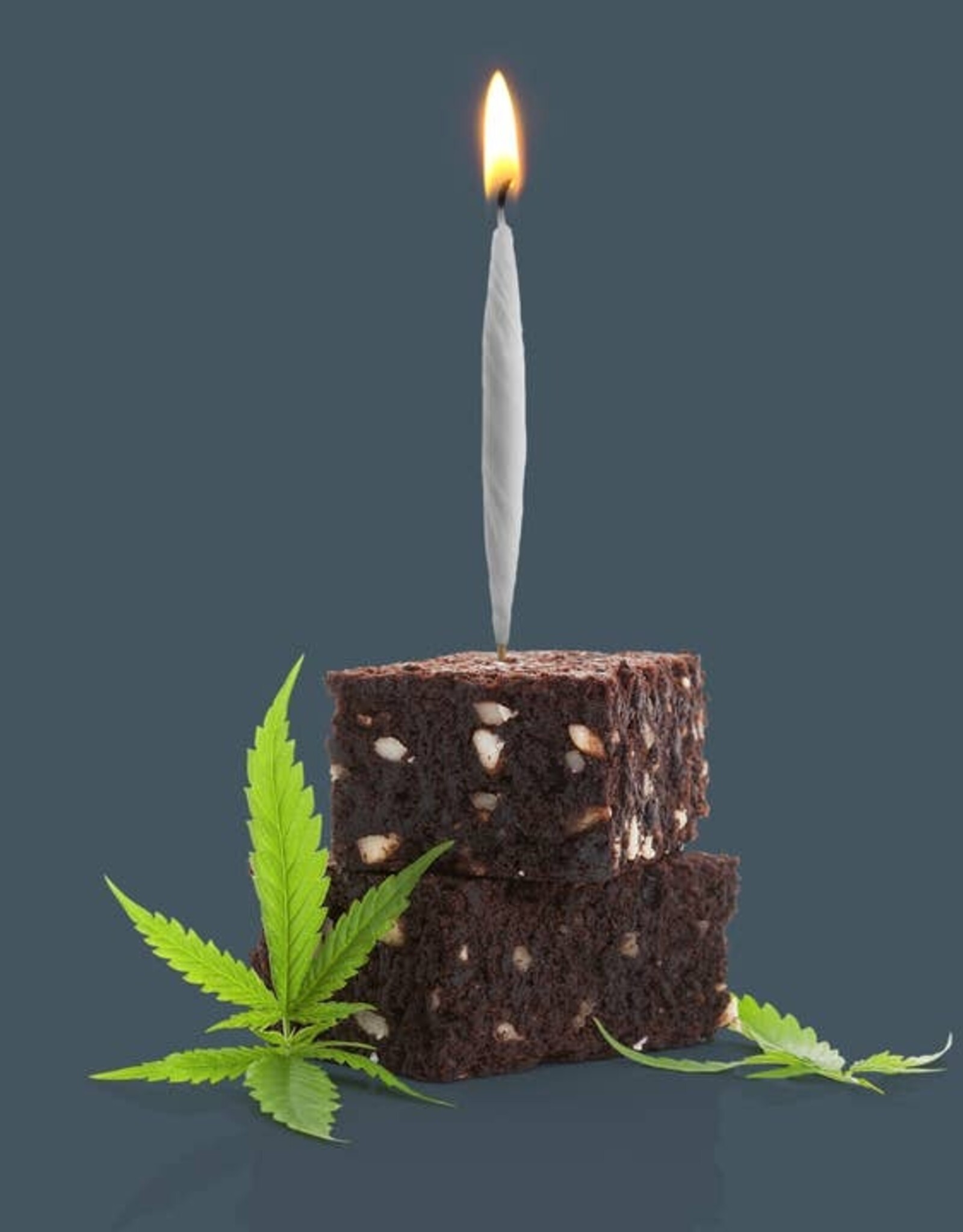 Fred and Friends Birthday Candles - Lit Joint