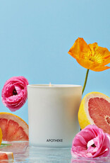 Apotheke Candle - Apotheke 11oz Signature  Sea Salt Grapefruit