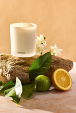 Apotheke Candle - Apotheke 11oz Signature  Orange Blossom Neroli