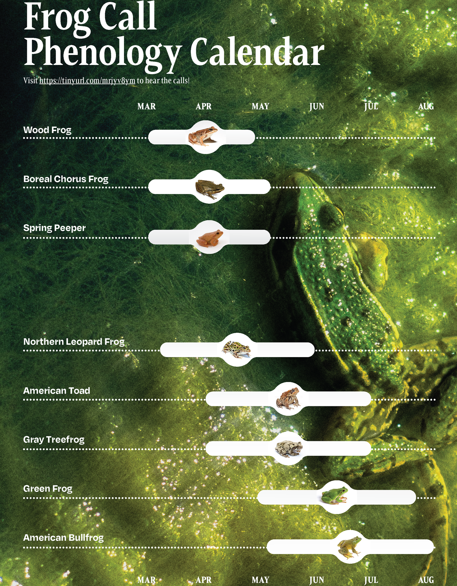 The Other Almanac The Other Almanac 2026