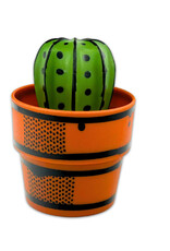 everyday objects Cactus Makes Perfect Scrubber