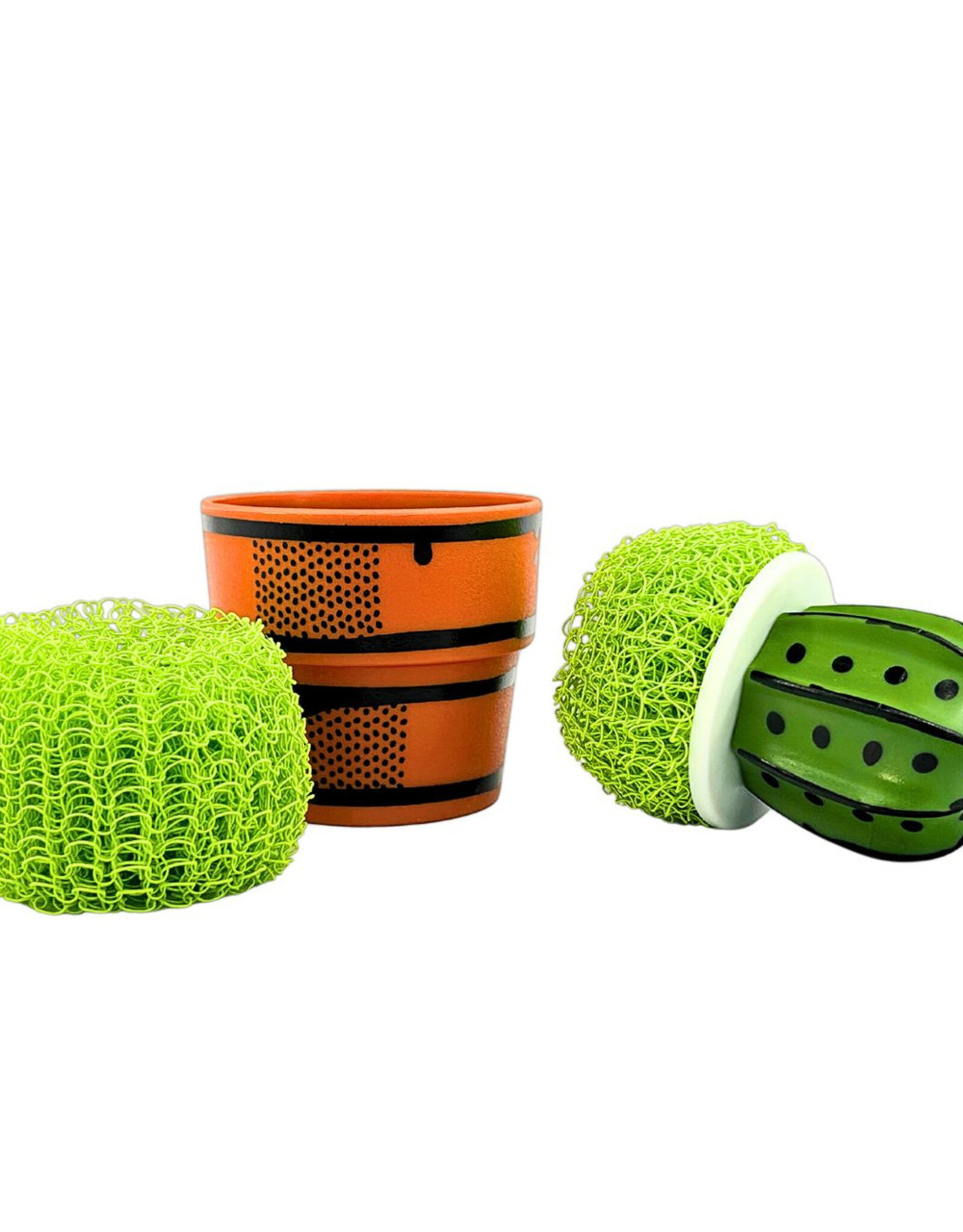 everyday objects Cactus Makes Perfect Scrubber