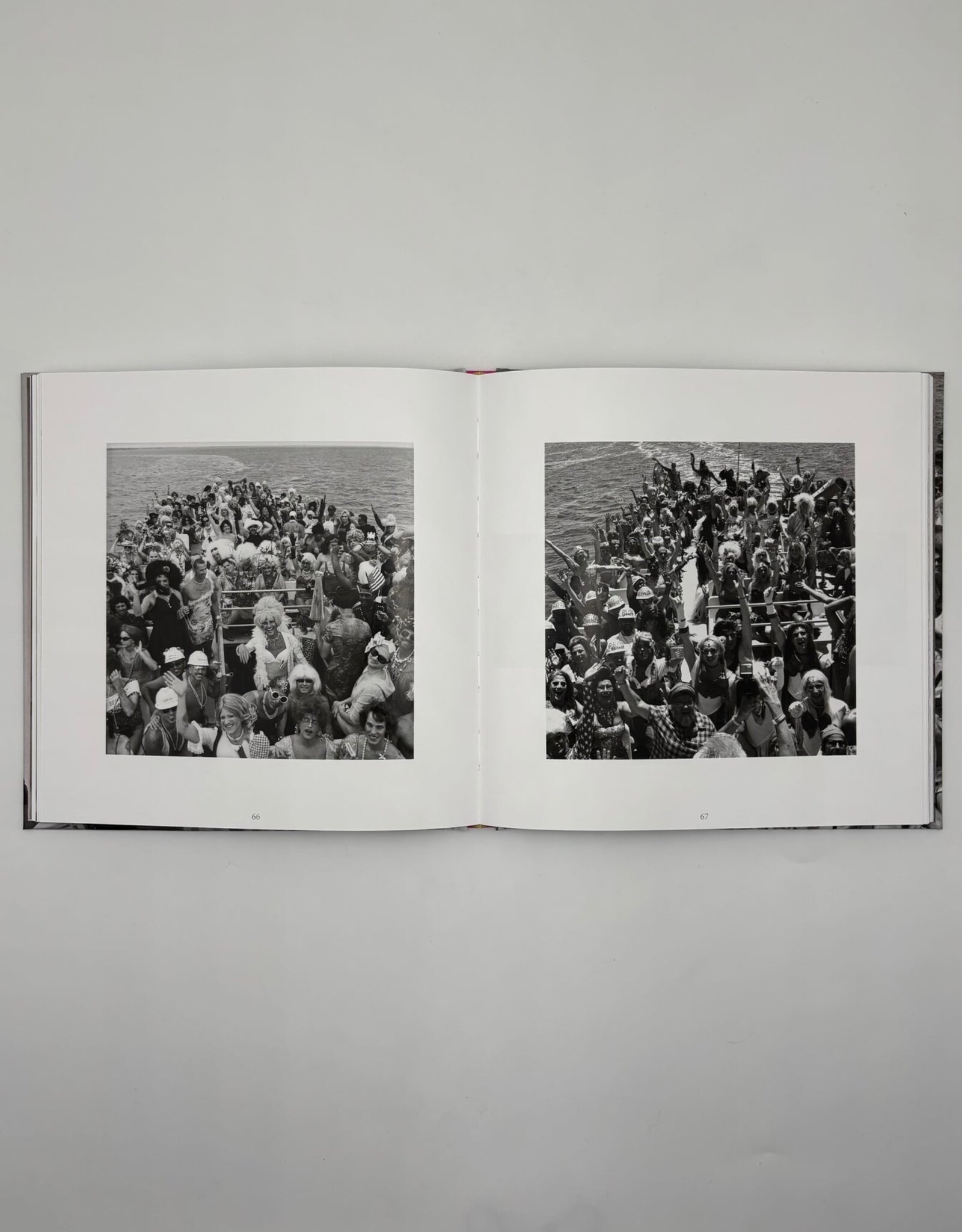 Anderson Zaca Book - Fire Island Invasion by Anderson Zaca