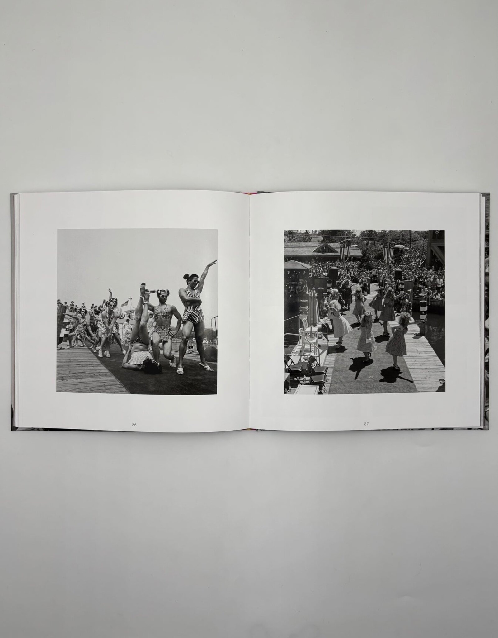 Anderson Zaca Book - Fire Island Invasion by Anderson Zaca