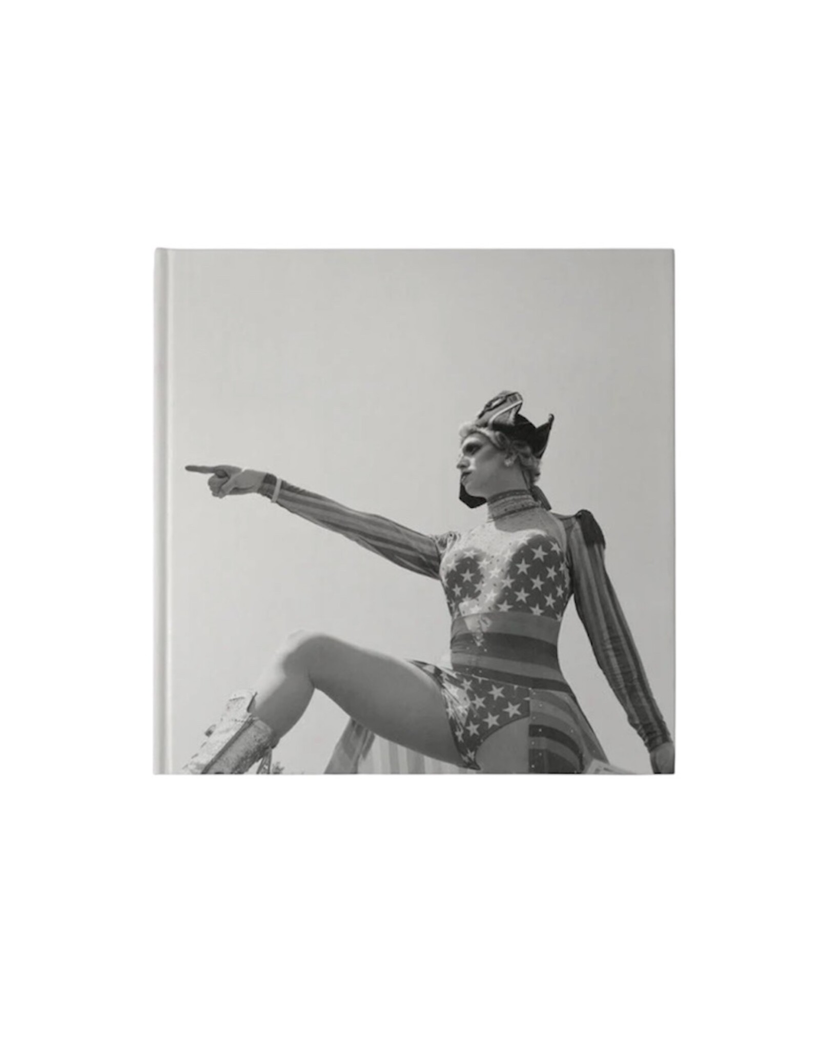 Anderson Zaca Book - Fire Island Invasion by Anderson Zaca