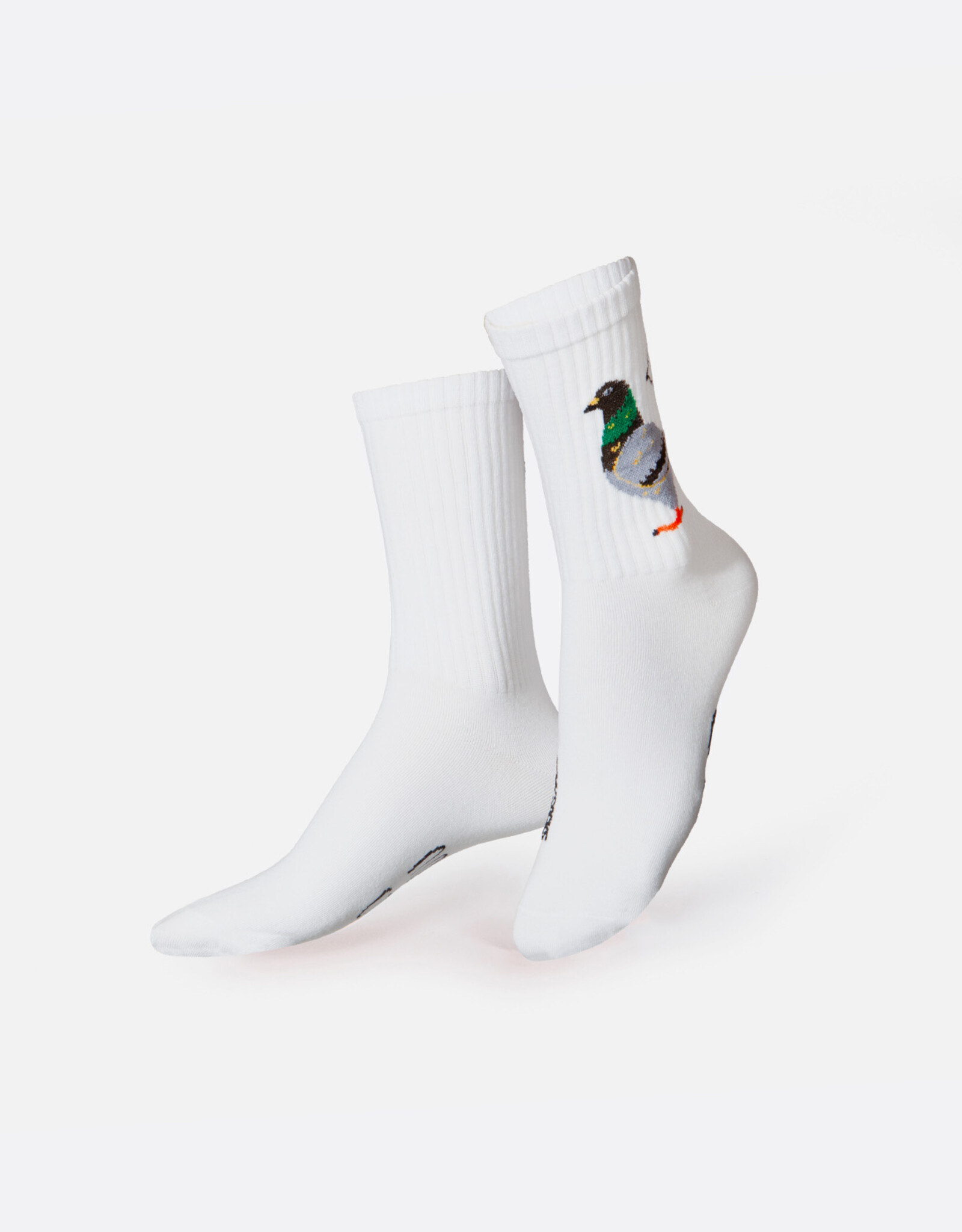 Doiy Socks - EMS Pigeon