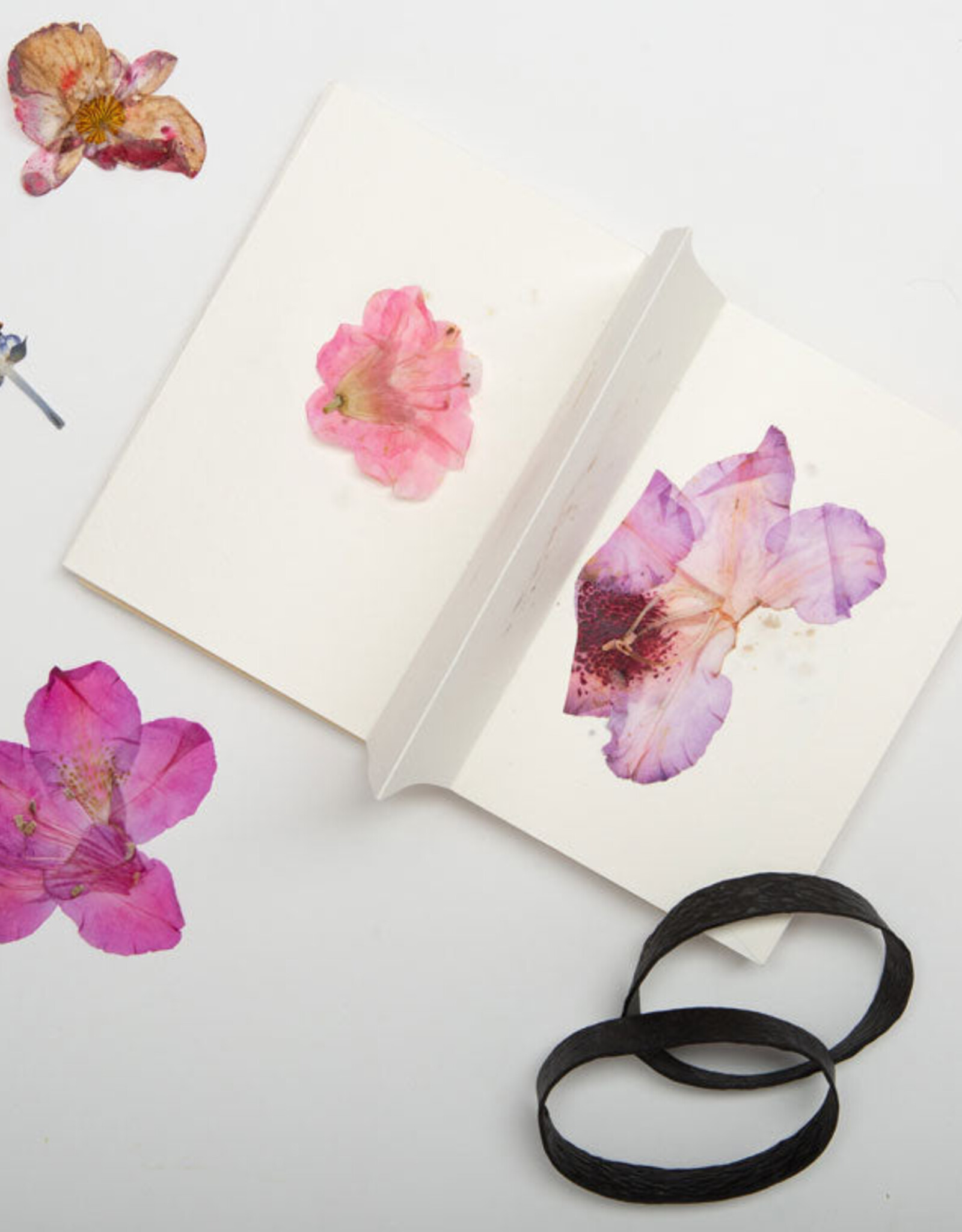 Kikkerland Flower Press - Field Notebook