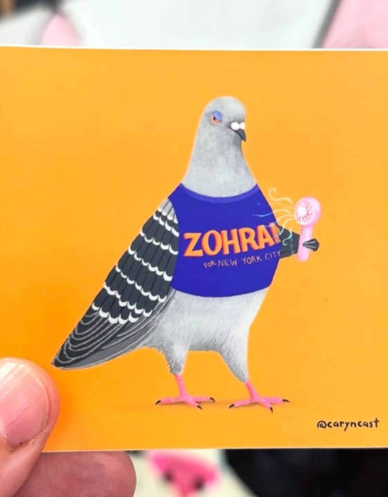 Caryn Cast Sticker - Jerry for Zohran Pigeon