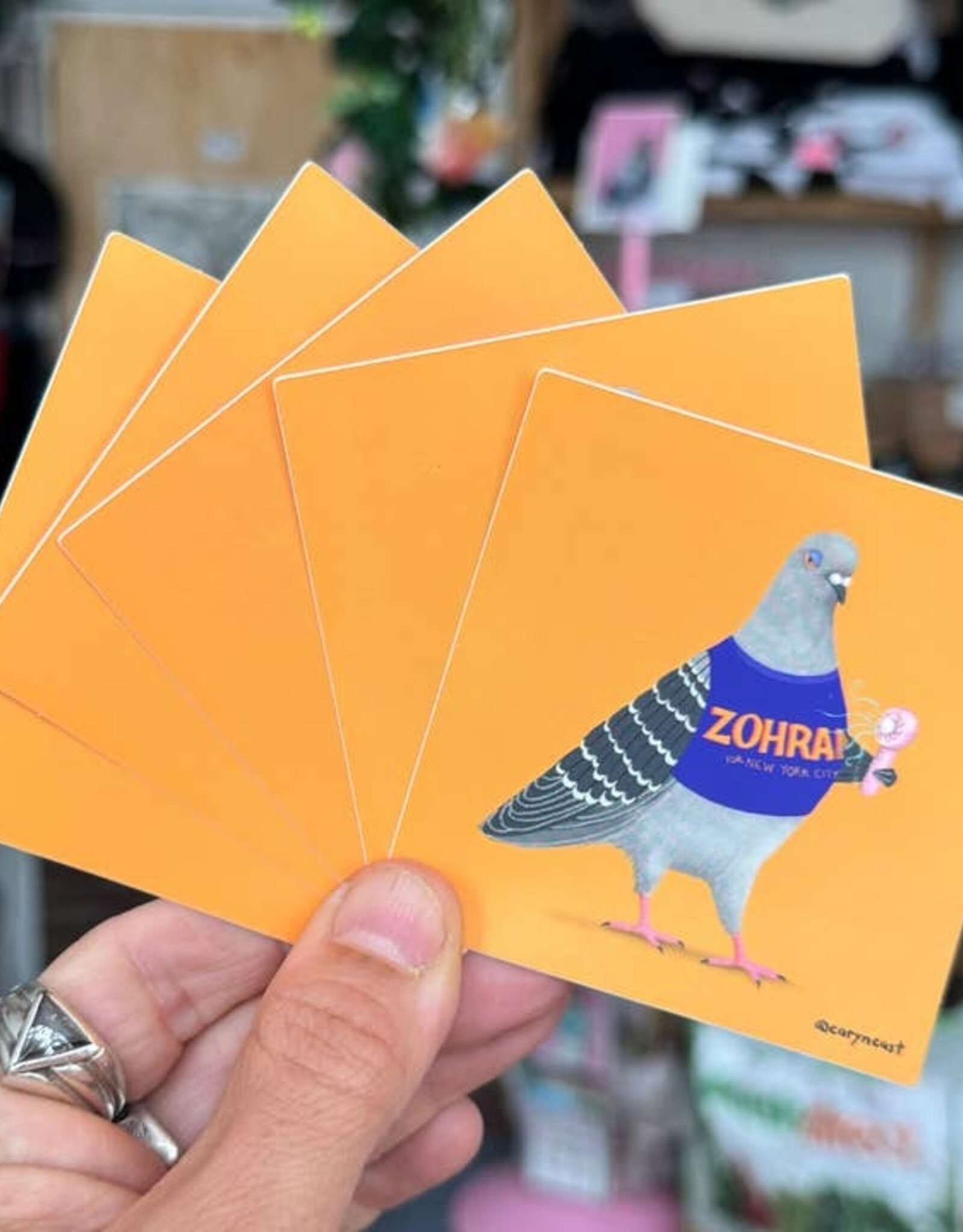Caryn Cast Sticker - Jerry for Zohran Pigeon