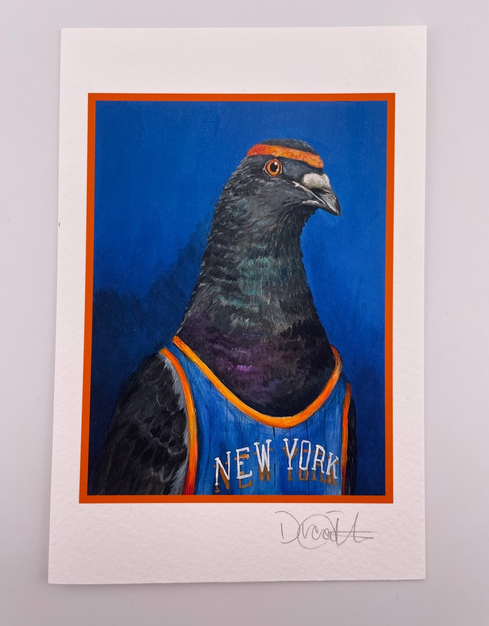Diana Teeter Art Art Print - 4x6: NYC Knicks Pigeon