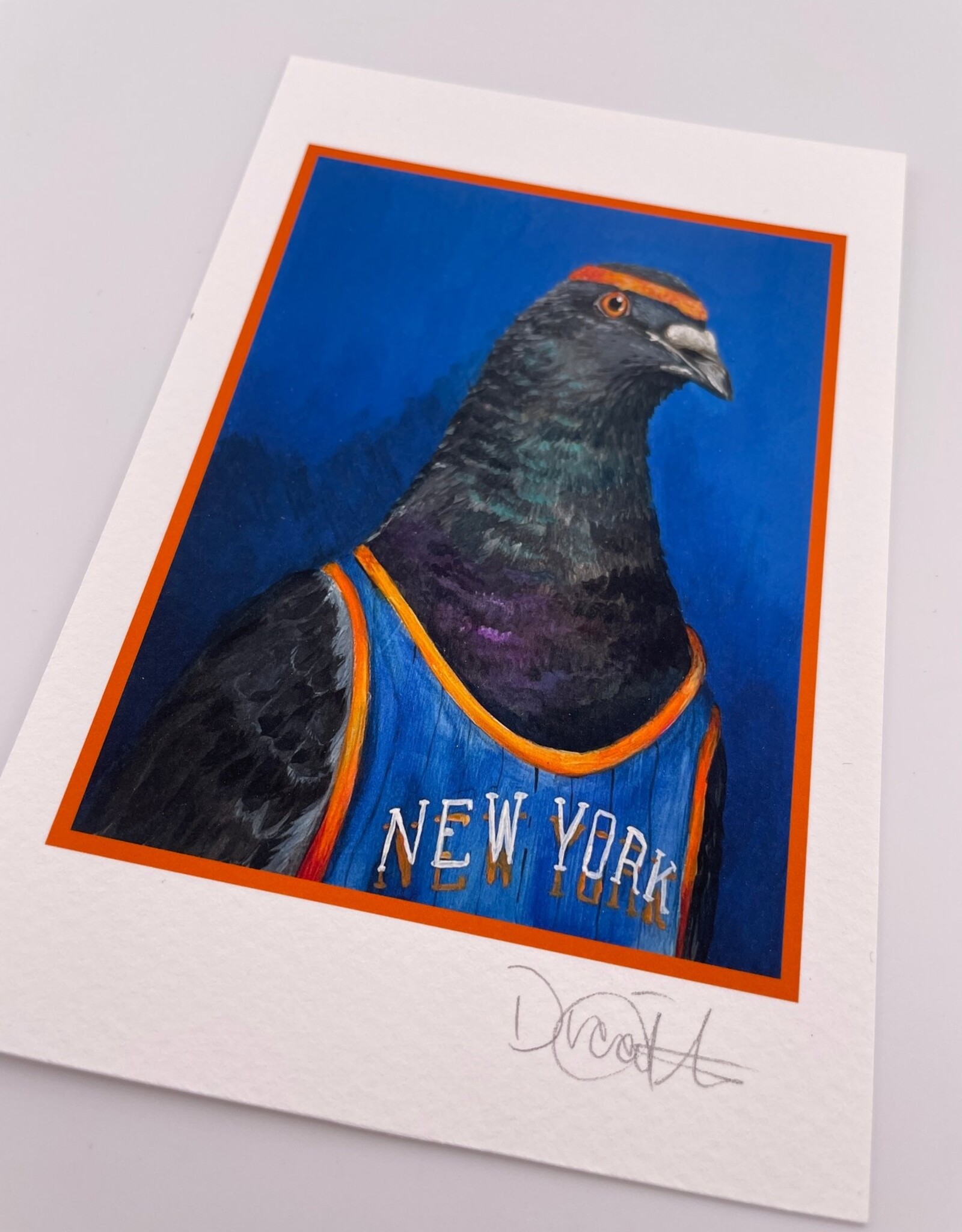 Diana Teeter Art Art Print - 4x6: NYC Knicks Pigeon
