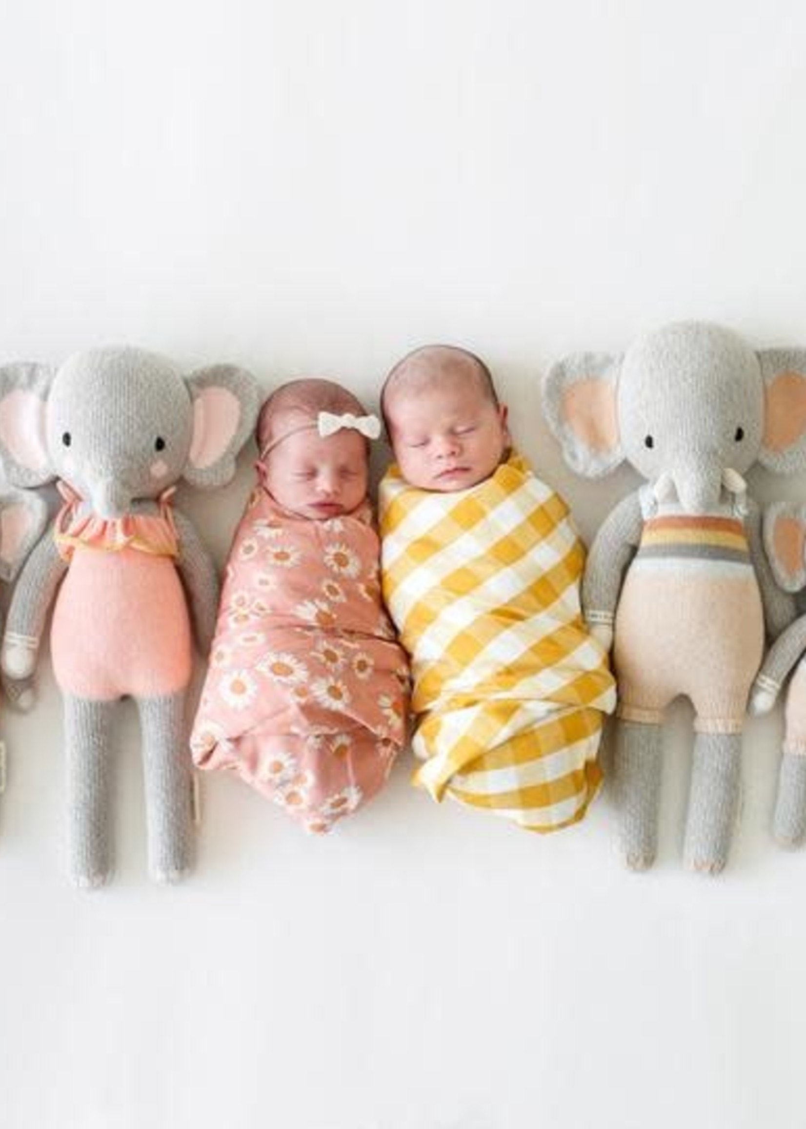 cuddle + kind EVAN the elephant