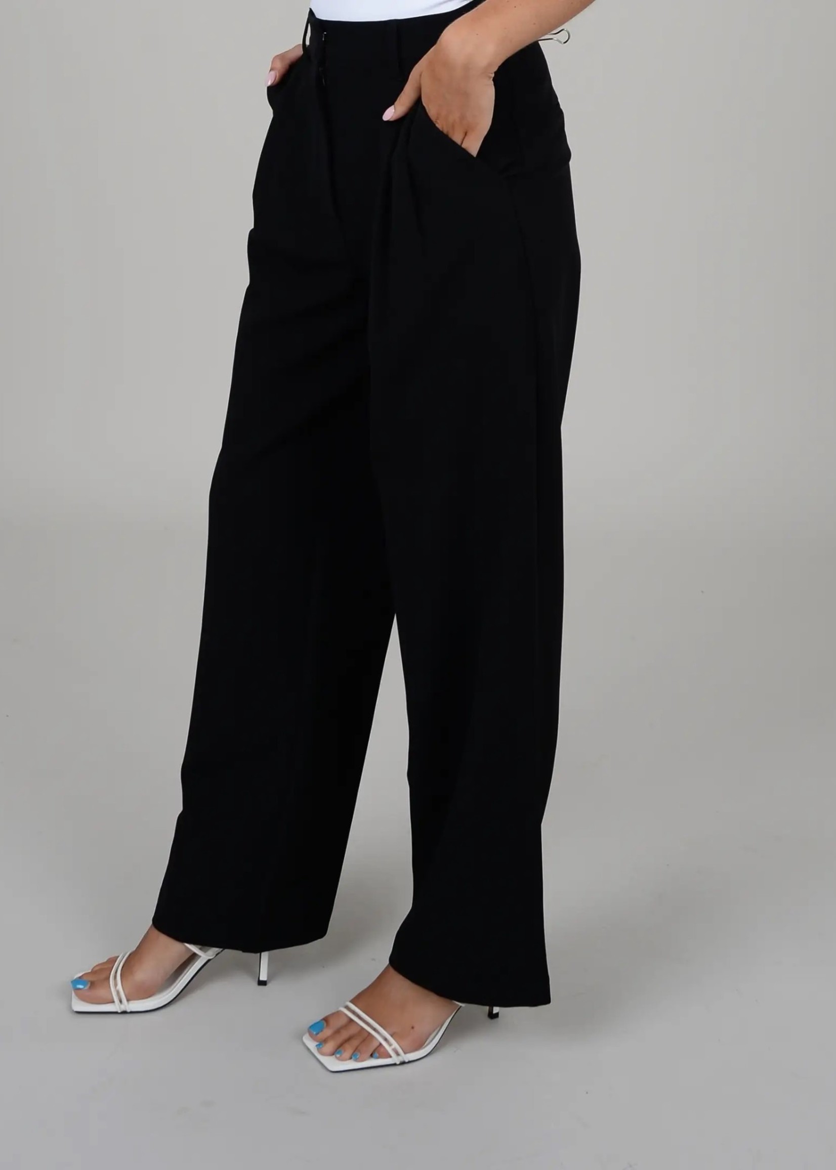 RD STYLE Brynn Double Pleat Pant