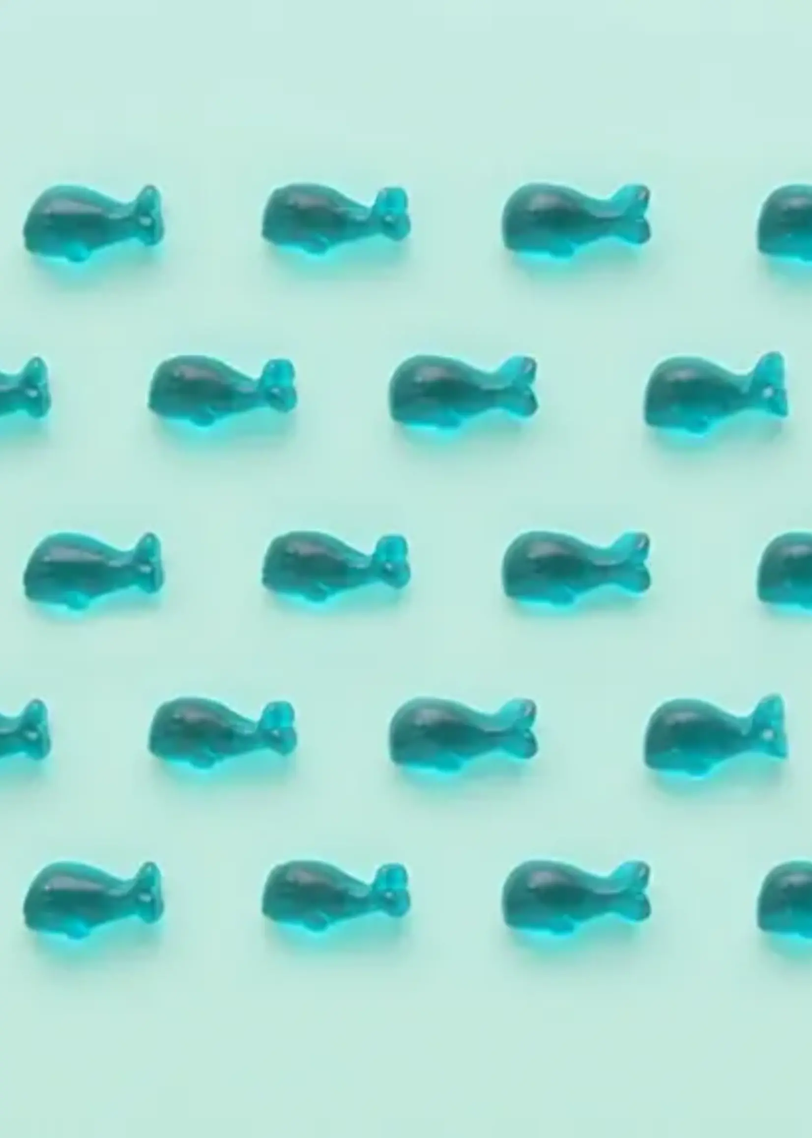 SUGARFINA Baby whales - small